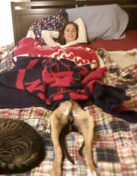 Morning Picdump