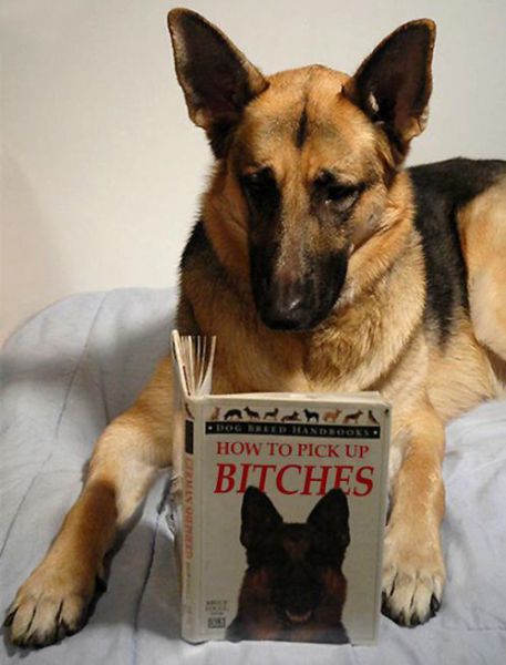 Content Image