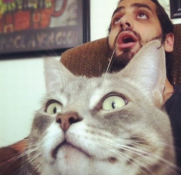 Morning Picdump