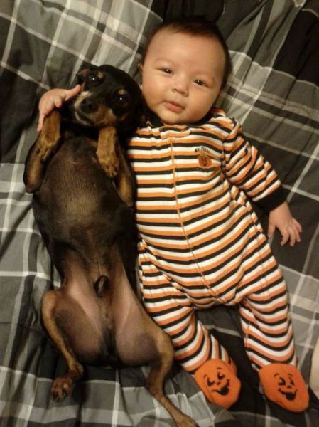 Morning Picdump