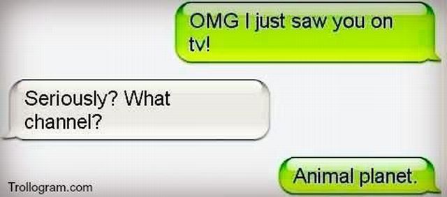 Morning Picdump