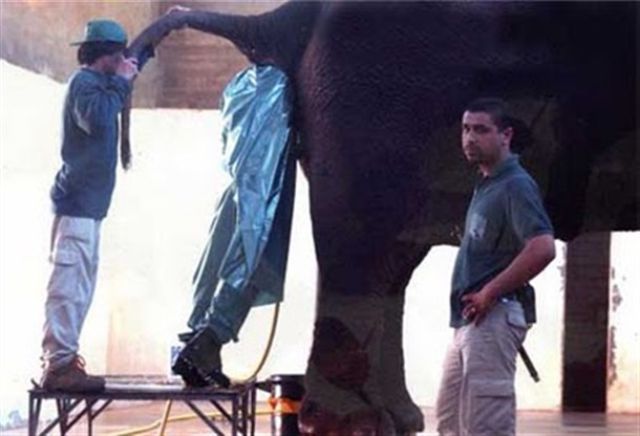 And You Think Your Job Sucks?