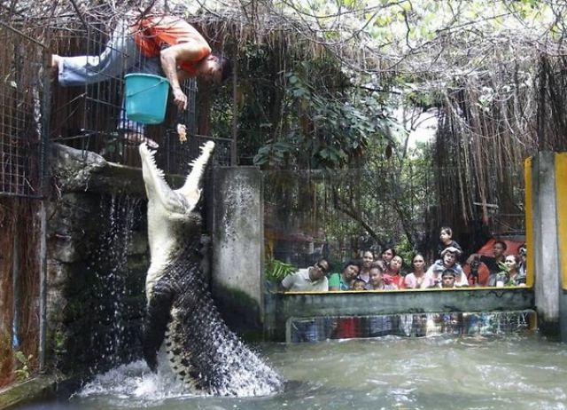 And You Think Your Job Sucks?