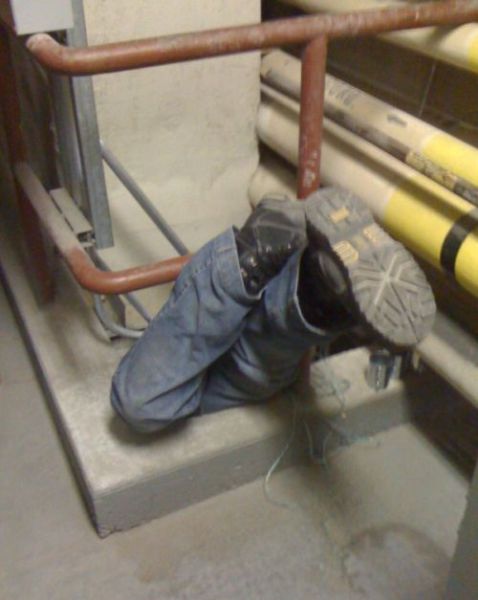 And You Think Your Job Sucks?