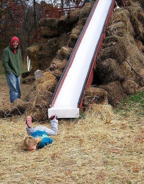 Morning Picdump