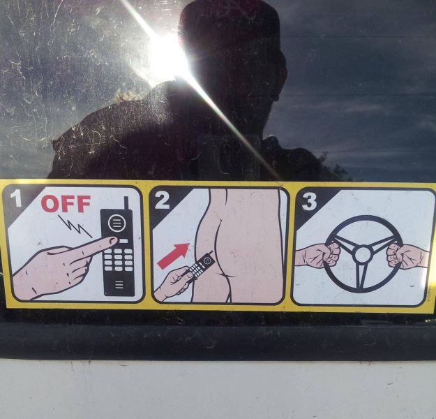 Morning Picdump