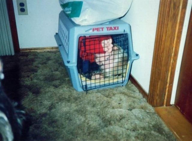 Daily Picdump