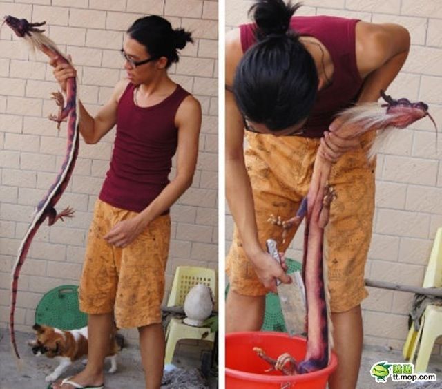 Morning Picdump