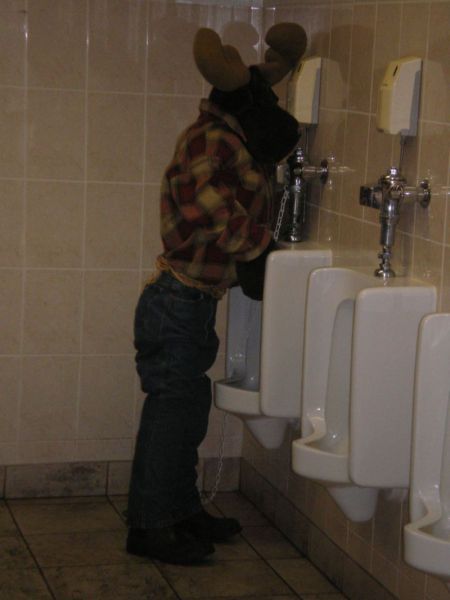 Content Image