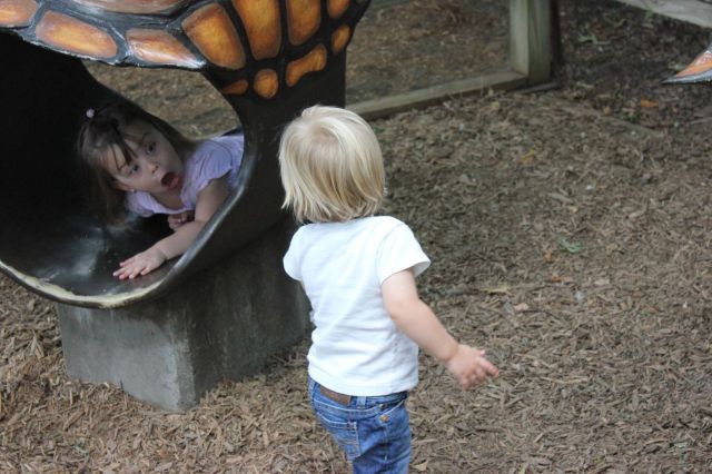 Daily Picdump