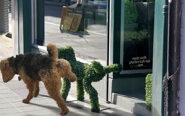 Daily Picdump