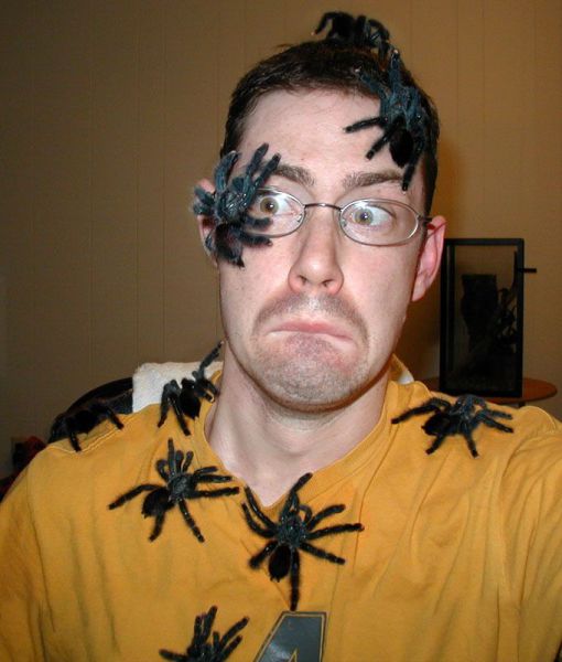 Content Image