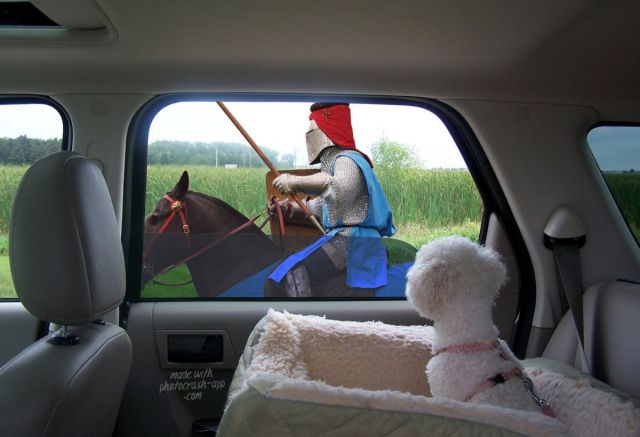 Morning Picdump