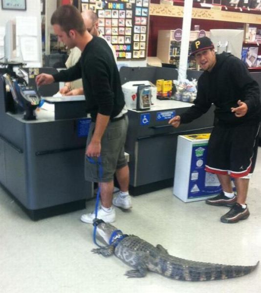 Morning Picdump