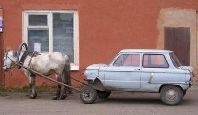 Morning Picdump