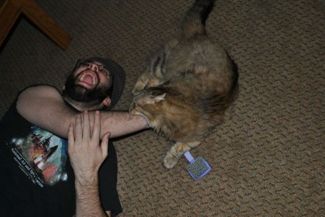 Content Image