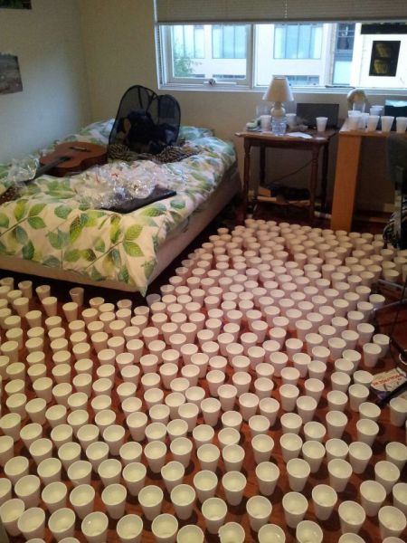 Morning Picdump