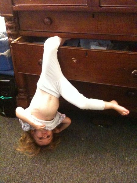 Daily Picdump