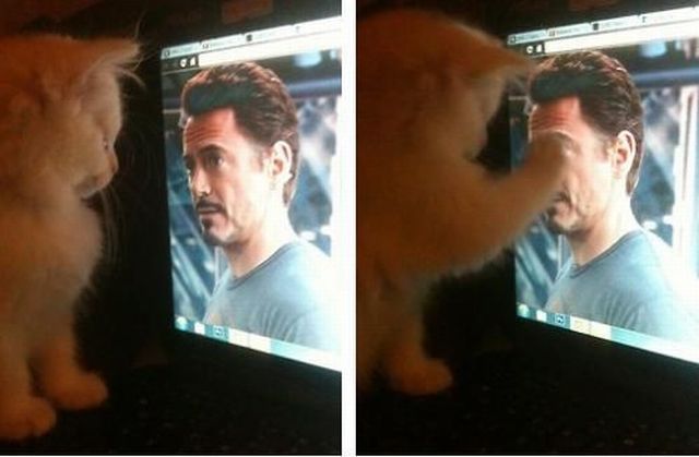 Daily Picdump