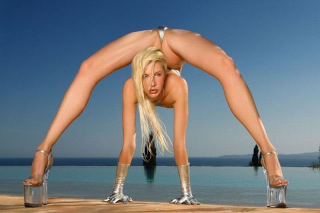 Morning Picdump
