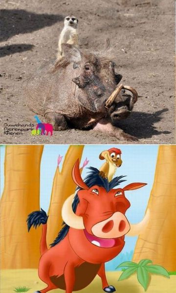 Morning Picdump