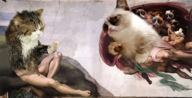 Morning Picdump