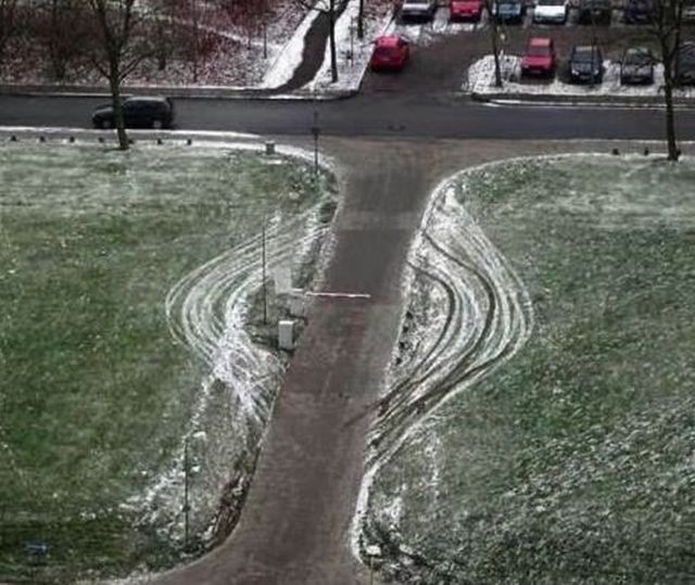 Daily Picdump