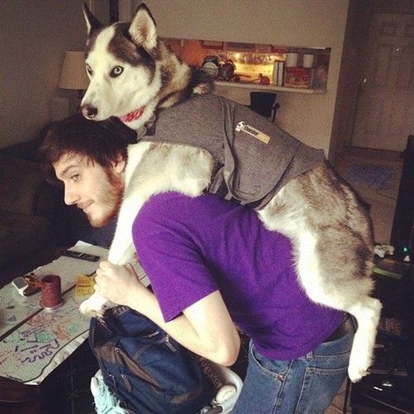 Daily Picdump