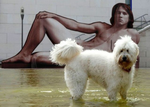 Content Image