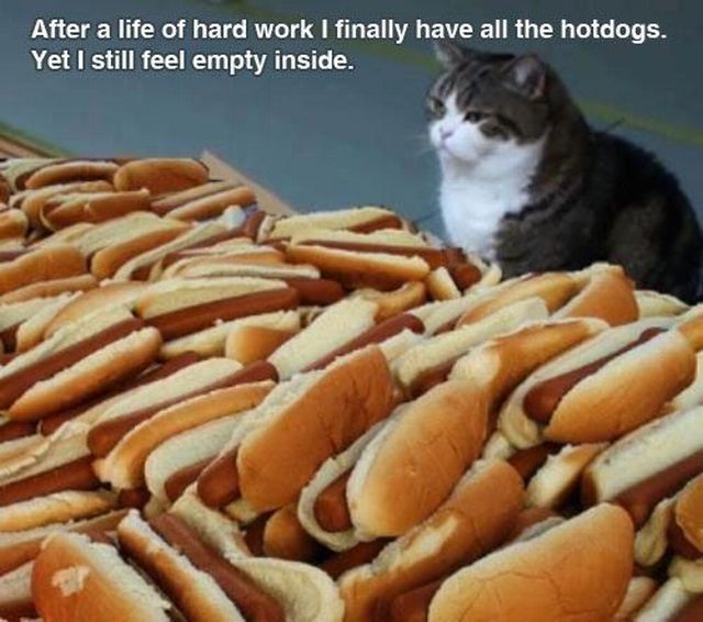 Content Image
