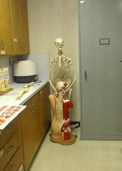 Morning Picdump