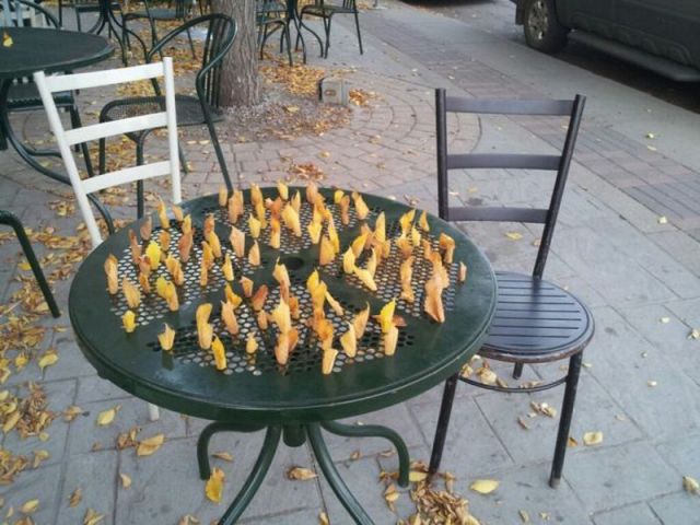 Morning Picdump