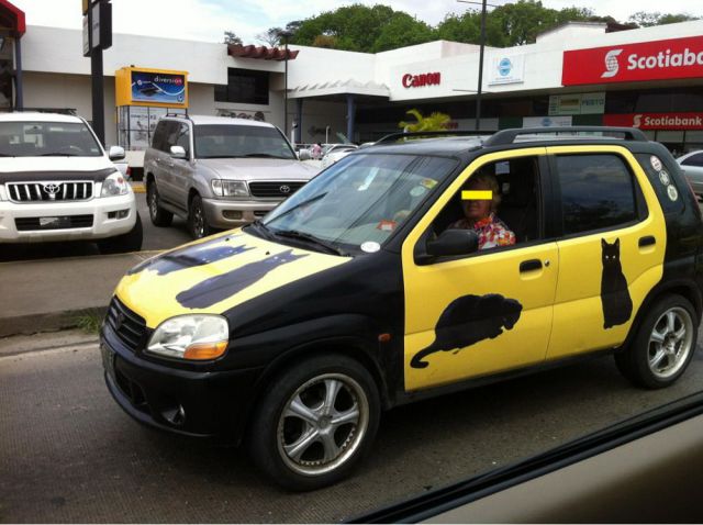 Morning Picdump