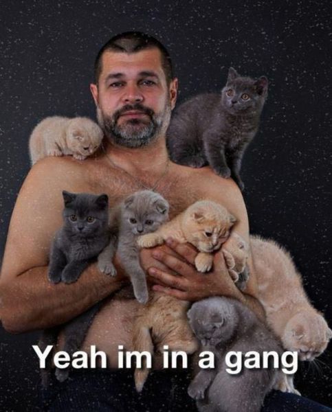Content Image