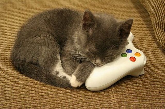 Content Image