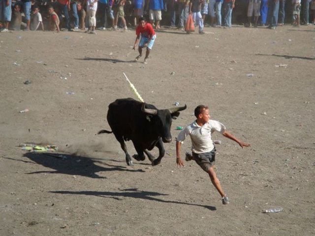 Content Image