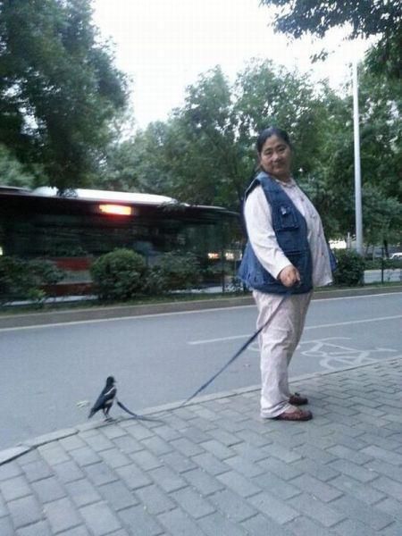 Content Image