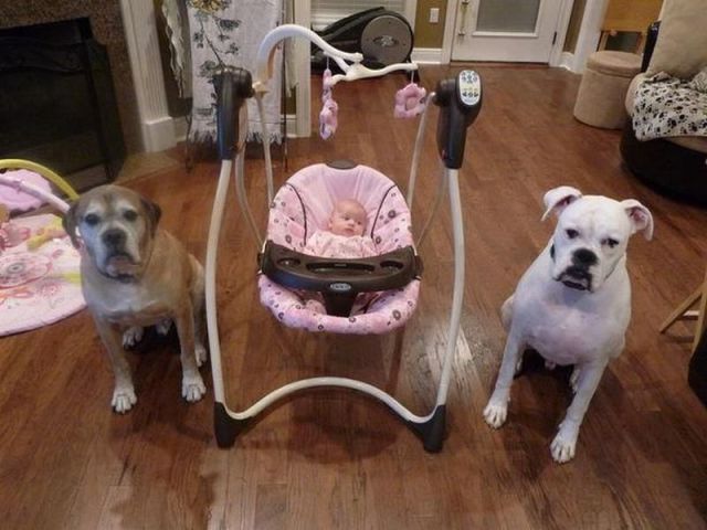 Morning Picdump