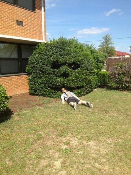 Content Image