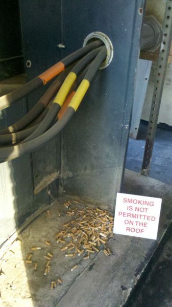 Morning Picdump