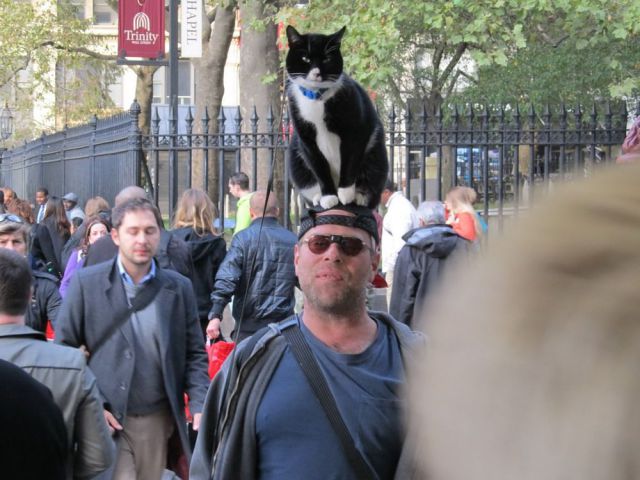 Morning Picdump
