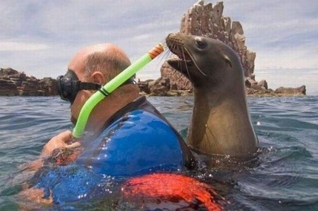 Content Image