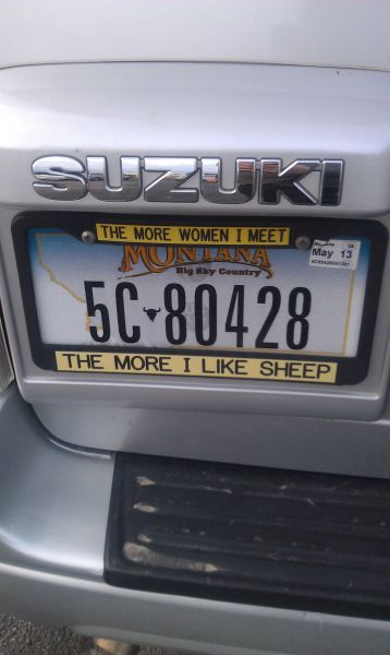 Content Image