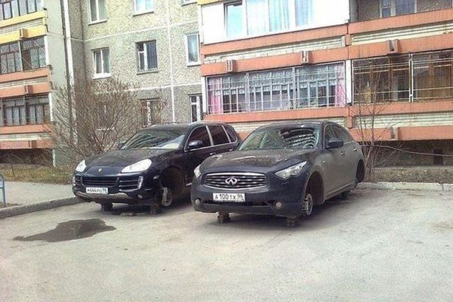 Morning Picdump
