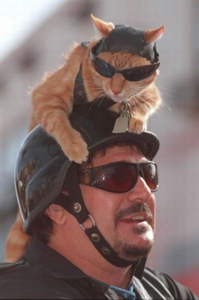 Morning Picdump