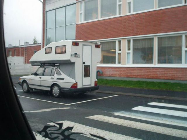 Morning Picdump