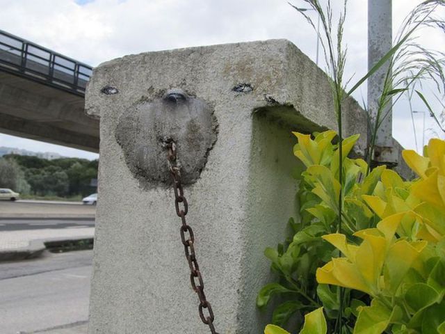 Content Image