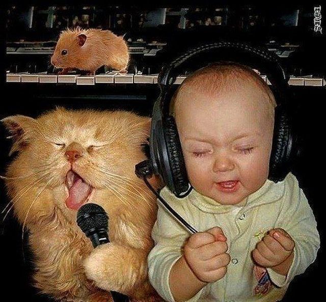 Morning Picdump