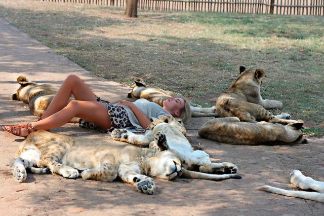 Morning Picdump