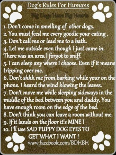 Morning Picdump